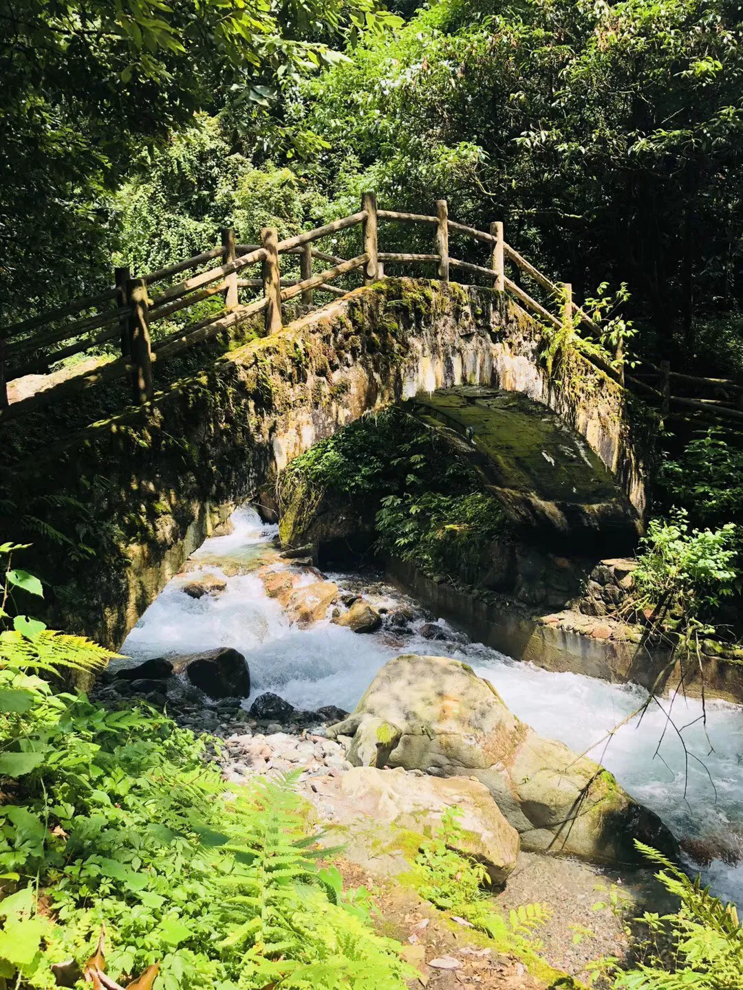 脑洞小老弟无实名认证